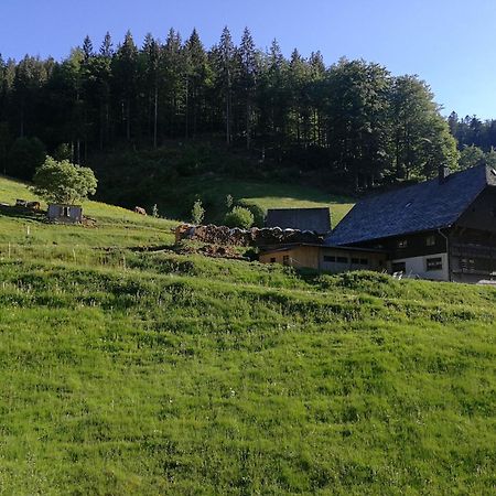 Ferienwohnung Glashuette Sankt Margen Bagian luar foto