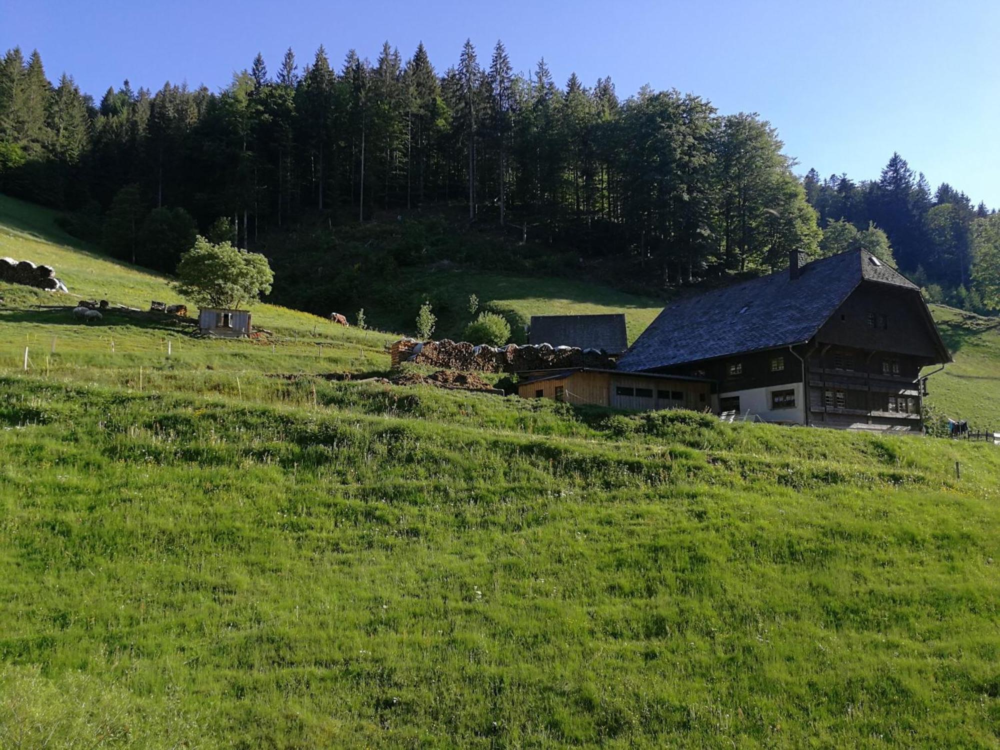 Ferienwohnung Glashuette Sankt Margen Bagian luar foto